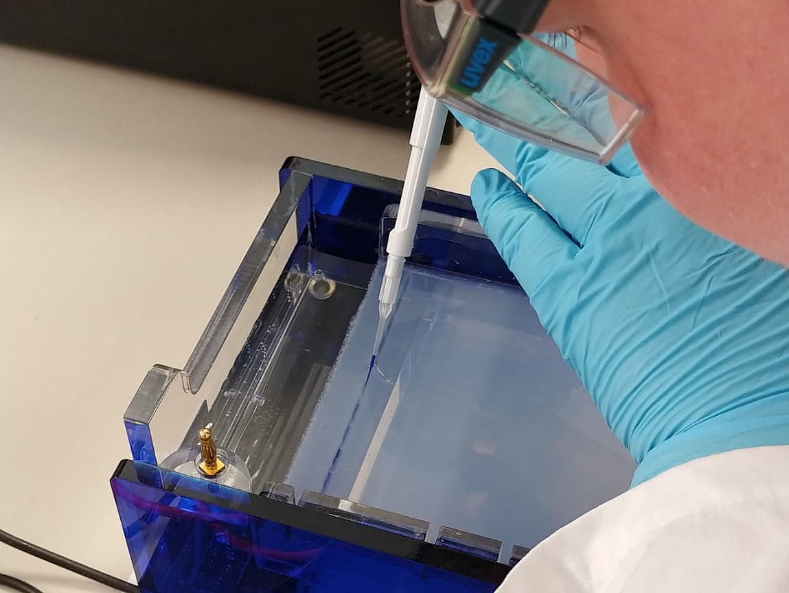 Regionales Kompetenzzentrum Sachsen-Anhalt Süd/Sachsen